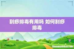 刮痧排毒有用吗 如何刮痧排毒