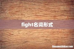 fight名词形式