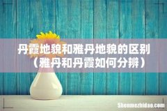 雅丹和丹霞如何分辨 丹霞地貌和雅丹地貌的区别