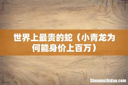 小青龙为何能身价上百万 世界上最贵的蛇
