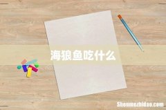 海狼鱼吃什么