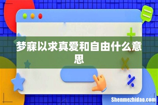 梦寐以求真爱和自由什么意思