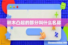 积木凸起的部分叫什么名称