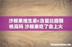 沙棘果维生素c含量比猕猴桃高吗 沙棘果吃了会上火吗