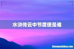 水浒传云中节度使是谁