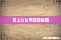 云上的故事珊珊结局