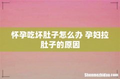 怀孕吃坏肚子怎么办 孕妇拉肚子的原因