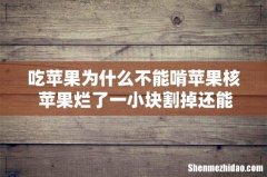 吃苹果为什么不能啃苹果核 苹果烂了一小块割掉还能吃吗