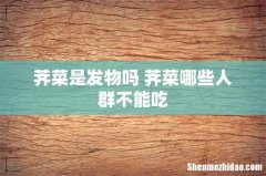 荠菜是发物吗 荠菜哪些人群不能吃