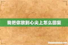 我把你放到心尖上怎么回复