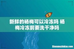 新鲜的杨梅可以冷冻吗 杨梅冷冻前要洗干净吗