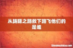从踌躇之路救下路飞他们的是谁