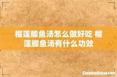 榴莲鲫鱼汤怎么做好吃 榴莲鲫鱼汤有什么功效