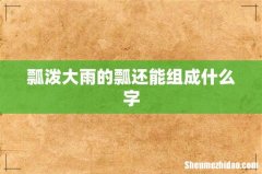 瓢泼大雨的瓢还能组成什么字