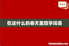 在这什么的春天里四字词语