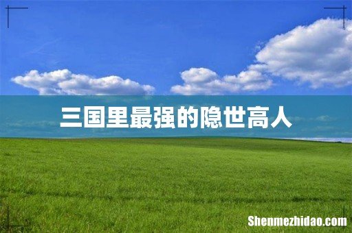 三国里最强的隐世高人