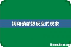 铜和硝酸银反应的现象