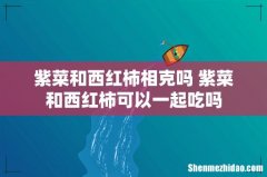紫菜和西红柿相克吗 紫菜和西红柿可以一起吃吗