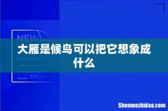 大雁是候鸟可以把它想象成什么