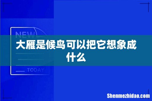 大雁是候鸟可以把它想象成什么