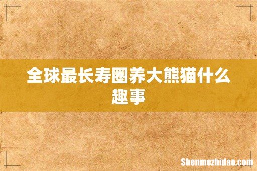 全球最长寿圈养大熊猫什么趣事