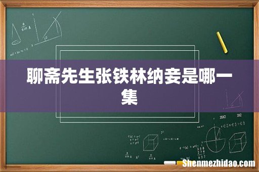 聊斋先生张铁林纳妾是哪一集