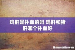 鸡肝是补血的吗 鸡肝和猪肝哪个补血好