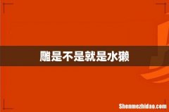 雕是不是就是水獭