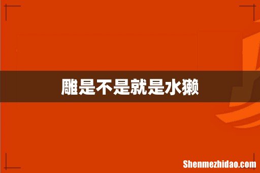 雕是不是就是水獭