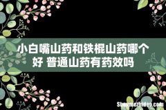 小白嘴山药和铁棍山药哪个好 普通山药有药效吗