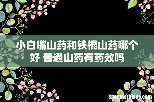 小白嘴山药和铁棍山药哪个好 普通山药有药效吗