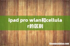 ipad pro wlan和cellular的区别