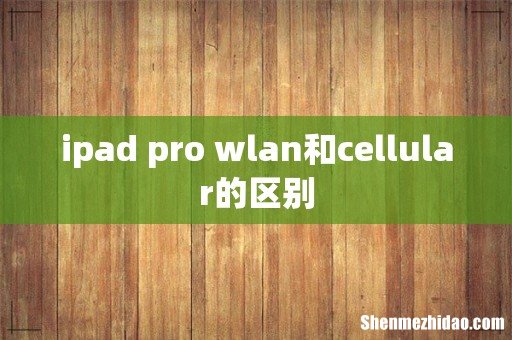 ipad pro wlan和cellular的区别