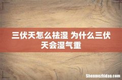 三伏天怎么祛湿 为什么三伏天会湿气重