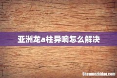 亚洲龙a柱异响怎么解决