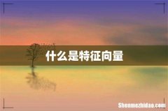 什么是特征向量