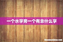 一个水字旁一个有念什么字