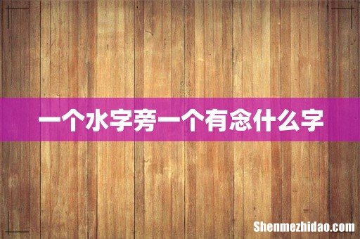 一个水字旁一个有念什么字