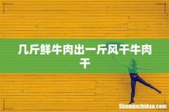 几斤鲜牛肉出一斤风干牛肉干