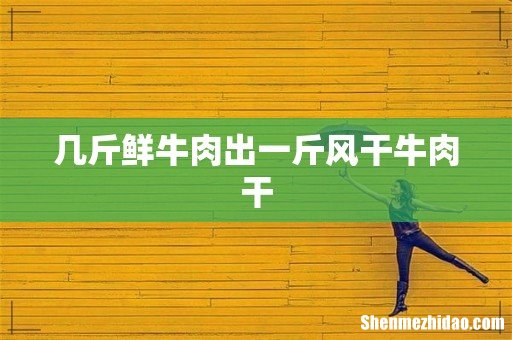 几斤鲜牛肉出一斤风干牛肉干