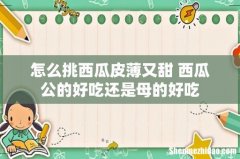 怎么挑西瓜皮薄又甜 西瓜公的好吃还是母的好吃