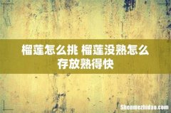 榴莲怎么挑 榴莲没熟怎么存放熟得快
