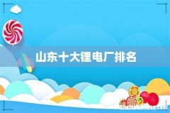 山东十大锂电厂排名