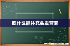 吃什么能补充头发营养