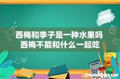 西梅和李子是一种水果吗 西梅不能和什么一起吃
