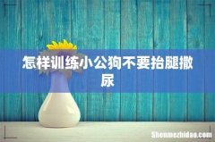 怎样训练小公狗不要抬腿撒尿