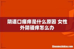 阴道口瘙痒是什么原因 女性外阴骚痒怎么办