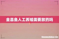 金昌鱼人工养殖需要放药吗