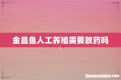 金昌鱼人工养殖需要放药吗