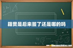 籍贯是后来签了还是哪的吗